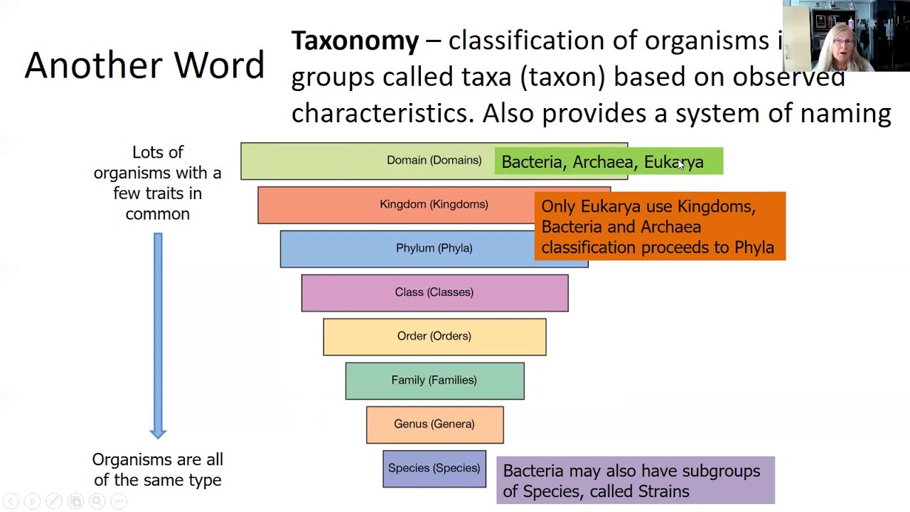 Microbial Diversity