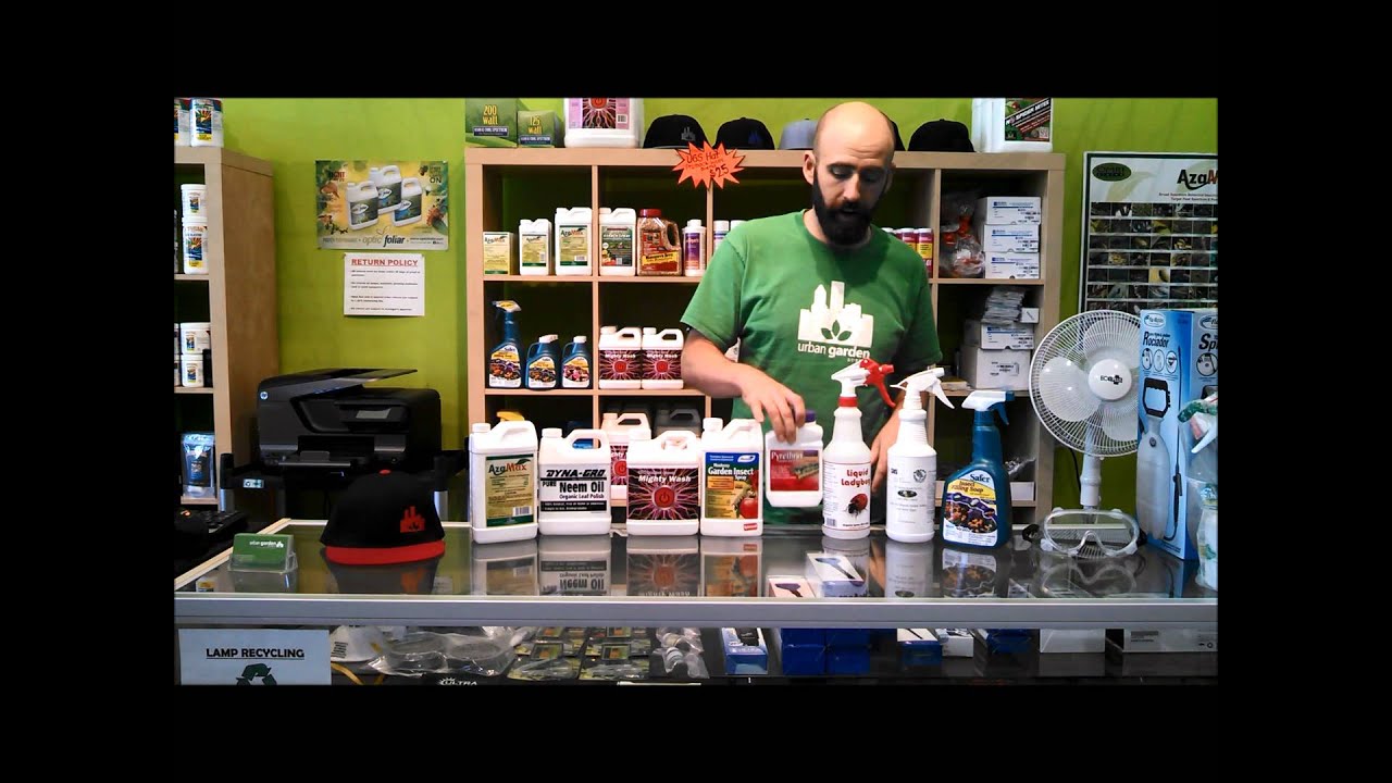 Kill Spider Mites FOREVER!