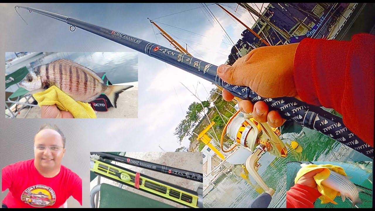 Testing New Bolognese Fishing Rod 🎣Nuova Canna Νέο Καλάμι Saraghi e Cefali Ψάρεμα Σαργών & Κέφαλων 🐟