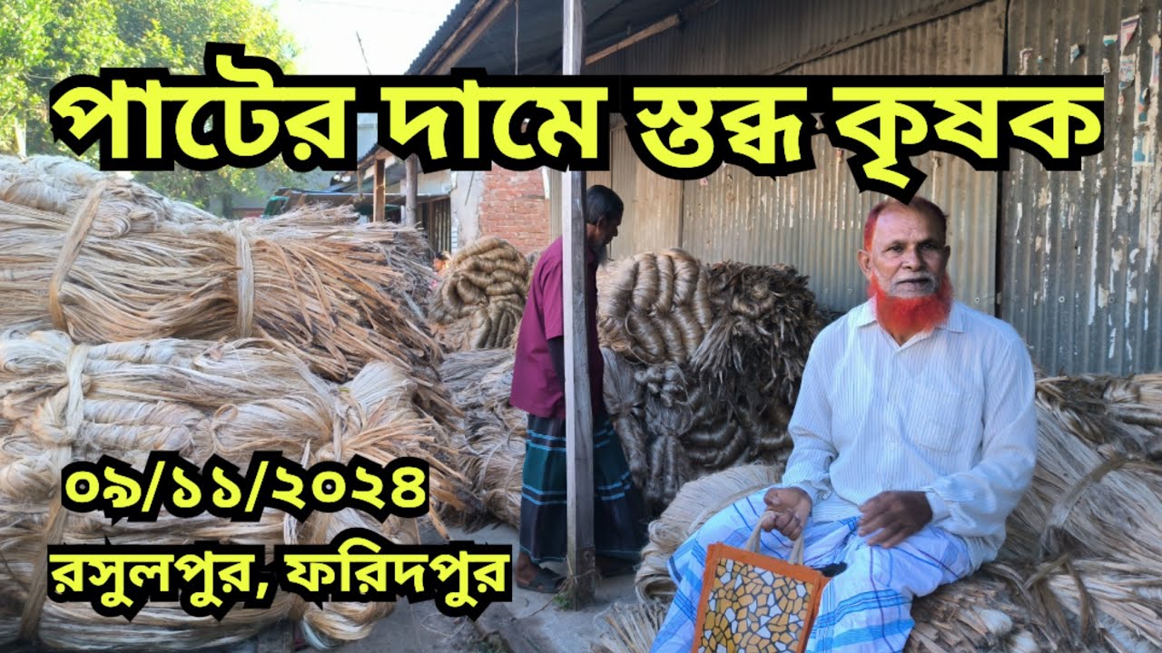 09/11/2024 আজকের পাটের বাজার দর | jute wholesale price today Rosulpur Bazar, Faridpur ||