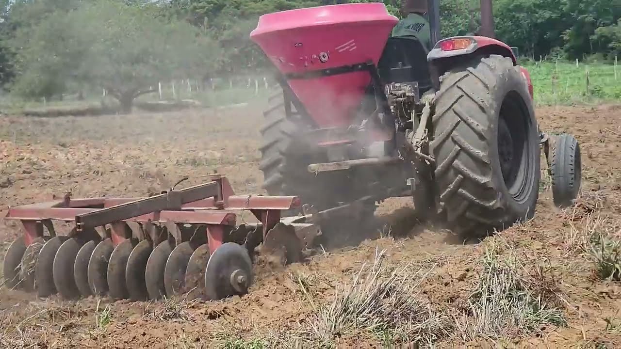 PLANTANDO CAPIM MOMBAÇA. REFAZENDO A PASTAGEM.