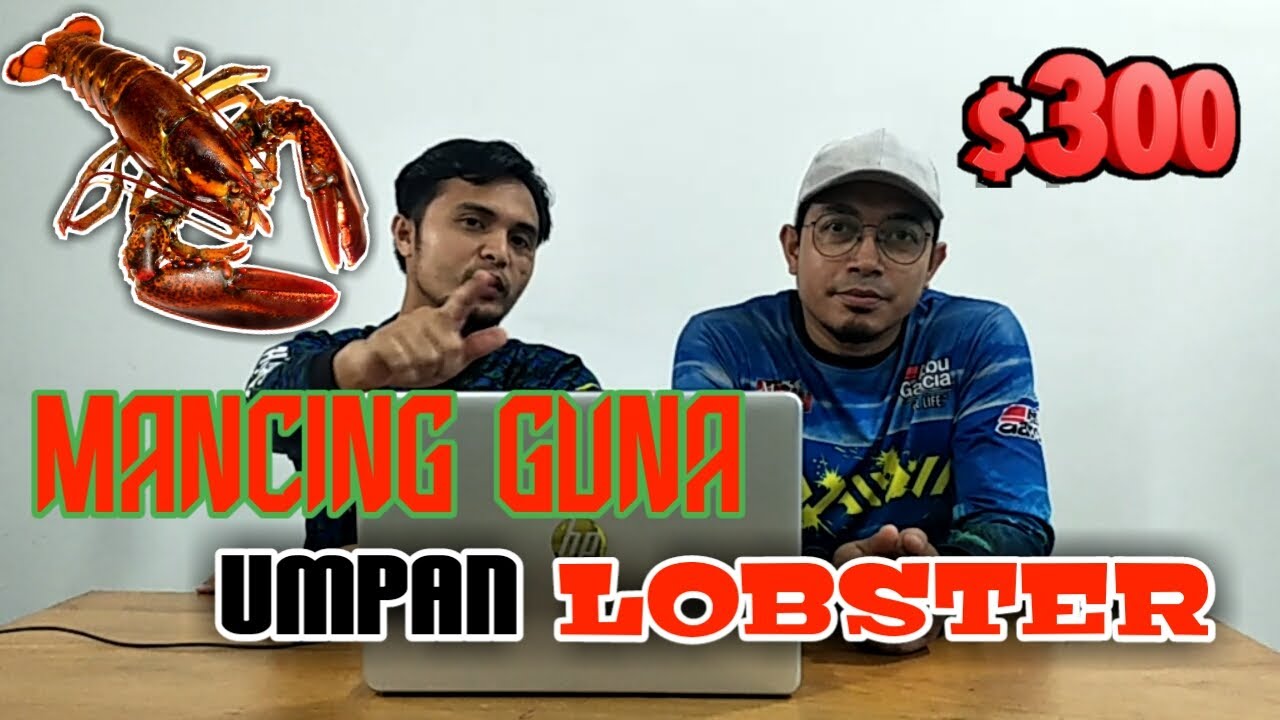 REACT VIDEO KOLAM KAYANGAN & UMPAN BANGSAWAN