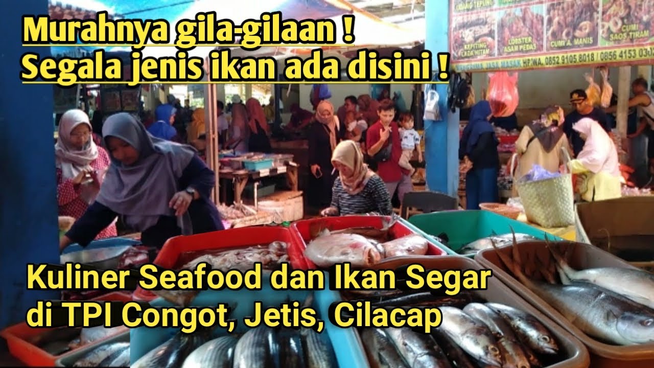 Walking Around |MURAHNYA KEBANGETAN❗Kuliner Seafood dan Ikan Segar di TPI Congot, Jetis Cilacap