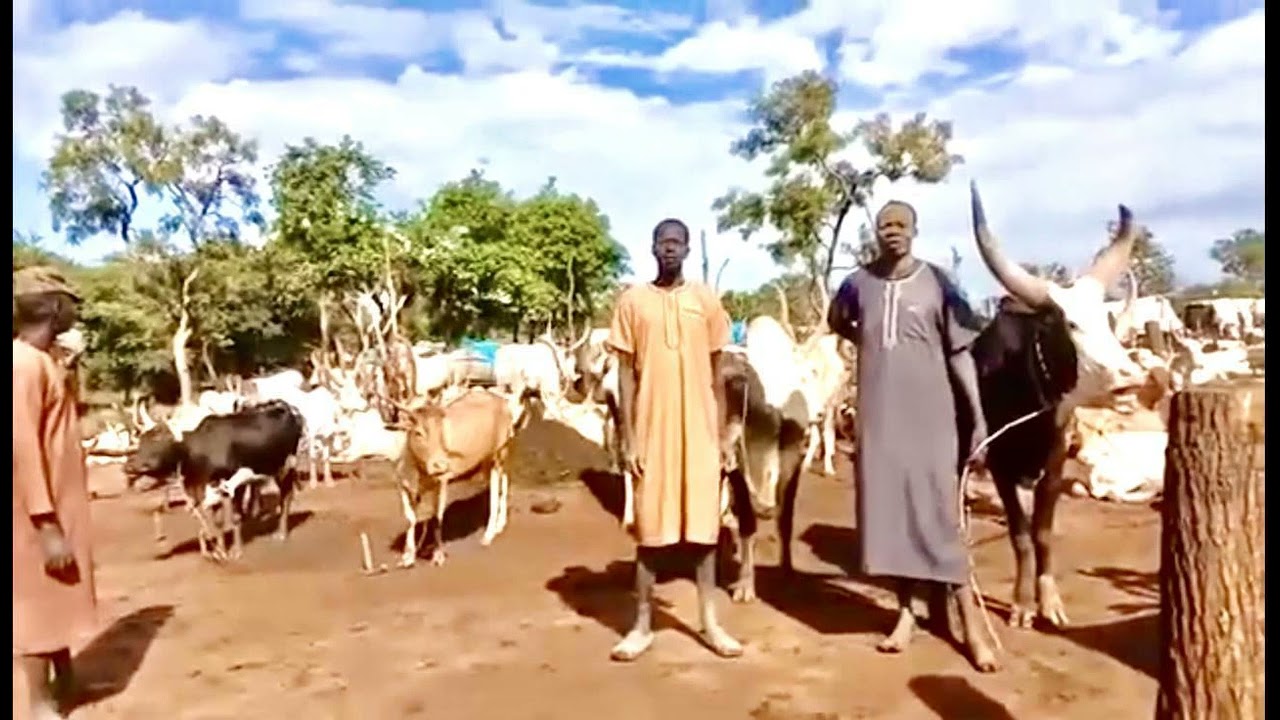 Jok Aguek Ngong: Wundeen Akaac Rin Nhial