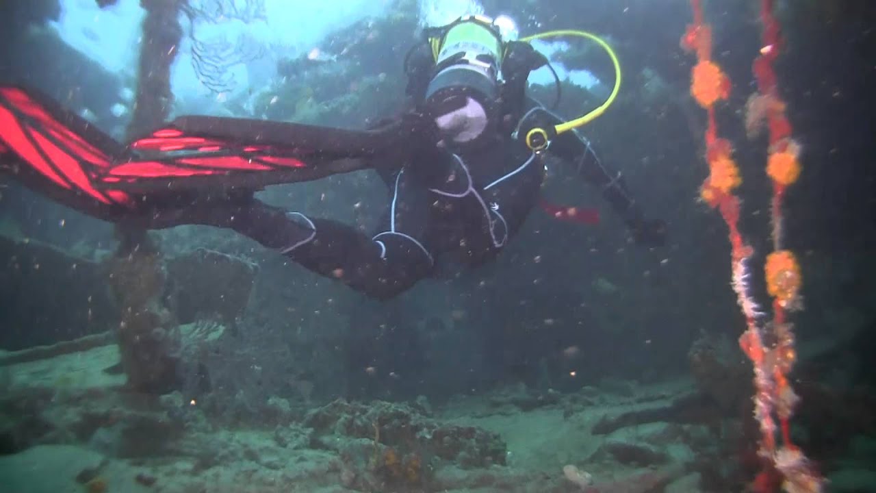 Palm Beach Dives August 2011