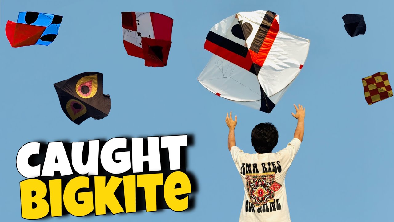 Looting Big White Color Beautiful Kite 😱Good News 🤩|| Caught kites || Catching Kite ! 