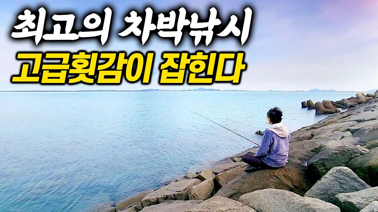 차박낚시하기 좋은 바닷가. 미끼만 바꾸고 바다낚시를 했을뿐인데 고급횟감이 쏟아진다.