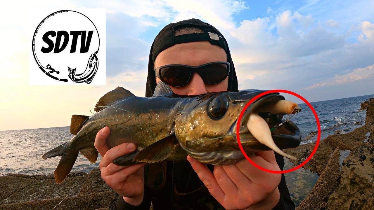 Pollock Fishing Ireland | Savage Gear | Gravity Stick Pintail