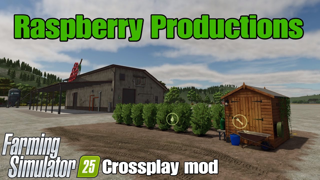 Raspberry Productions / FS25 crossplay mod