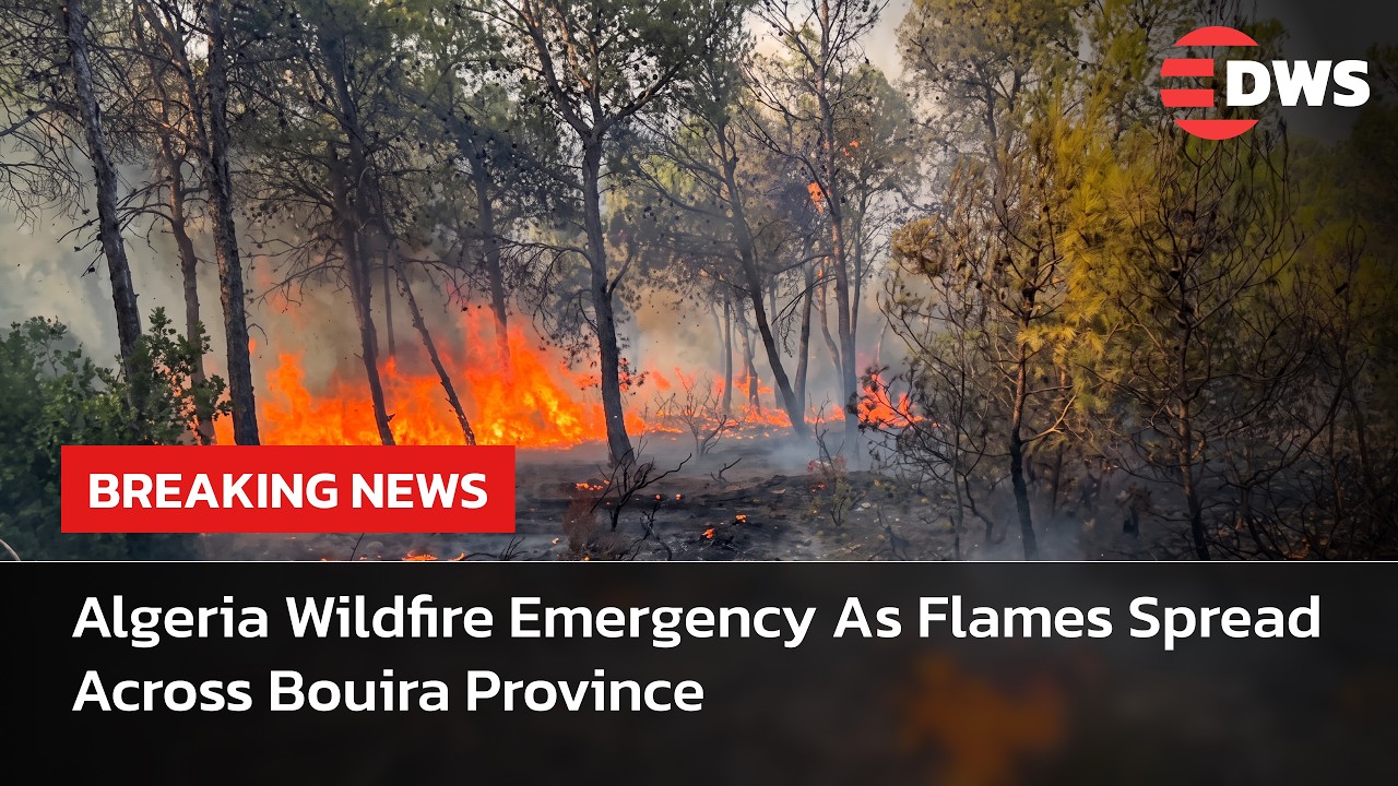 Algeria Battles Deadly Wildfires As Strong Winds Fuel Rapid Spread | DWS News | AP14