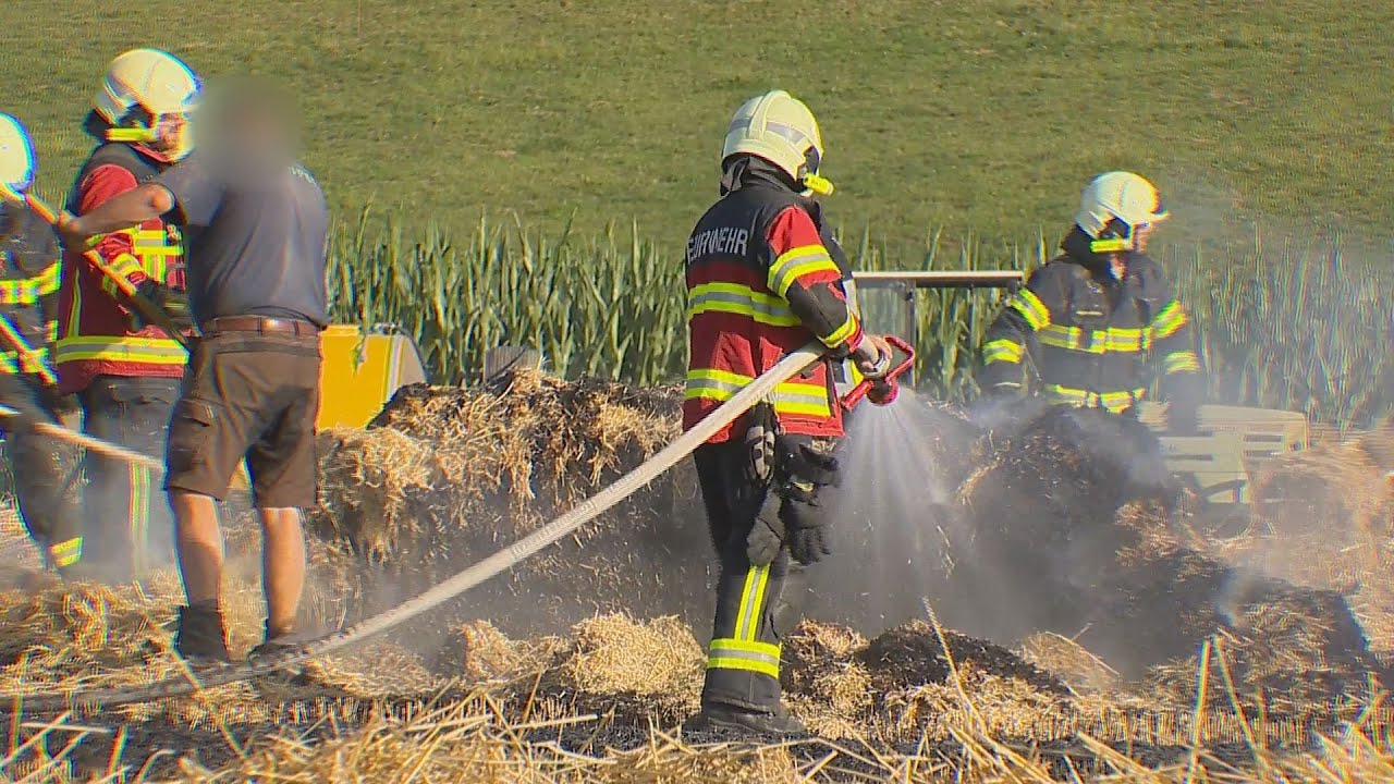 Affeltrangen TG: Feuer greift von Ballenpresse auf Feld über