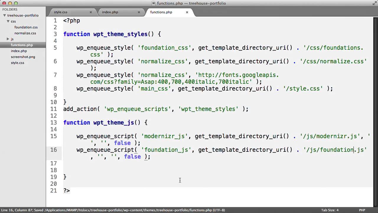 Working with CSS and JS in WordPress Themes- How to Link to JS from functions php File