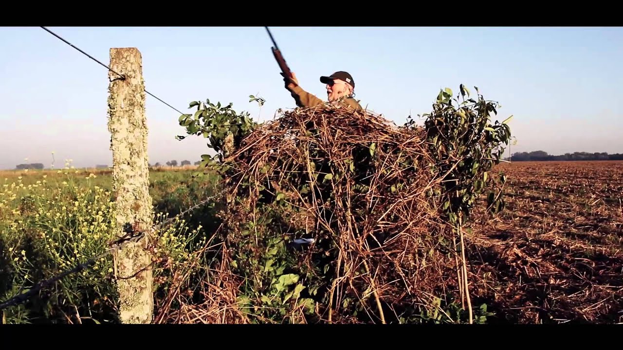 Duck Hunting by Pointer Wingshooting Argentina