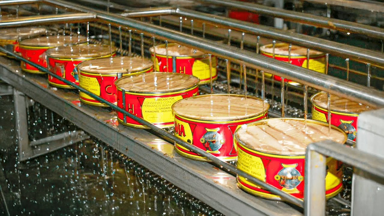 Come si Produce il Tonno in Scatola 🥫 Come viene Lavorato e inscatolato