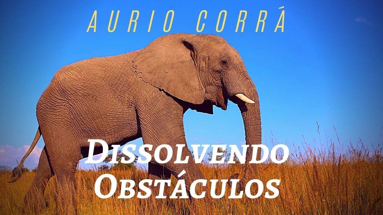 MARCHA DOS ELEFANTES - AURIO CORRÁ - NEW AGE MUSIC, MUSICA PARA ENERGIA, MUSICA DE CURA, MEDITAÇÃO.