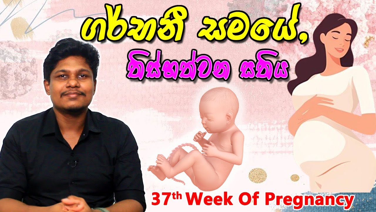 Pregnancy 37th Week | Sinhala Medical Review | අම්මයි බබයි