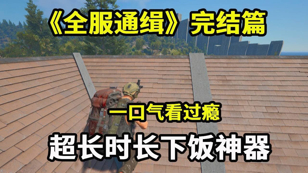 一口气看过瘾，《全服通缉》完结篇，超长时长下饭神器【游戏人影子】