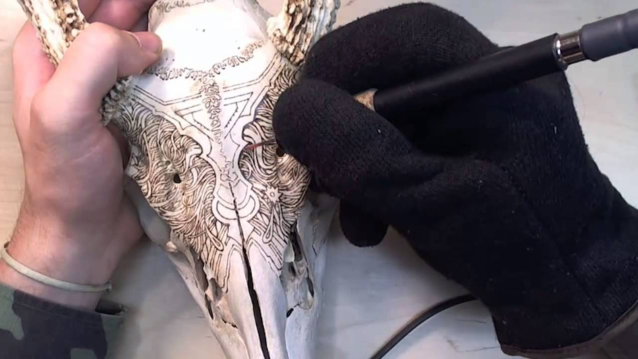 Deer Skull Wood Burning (Bone Burning?)