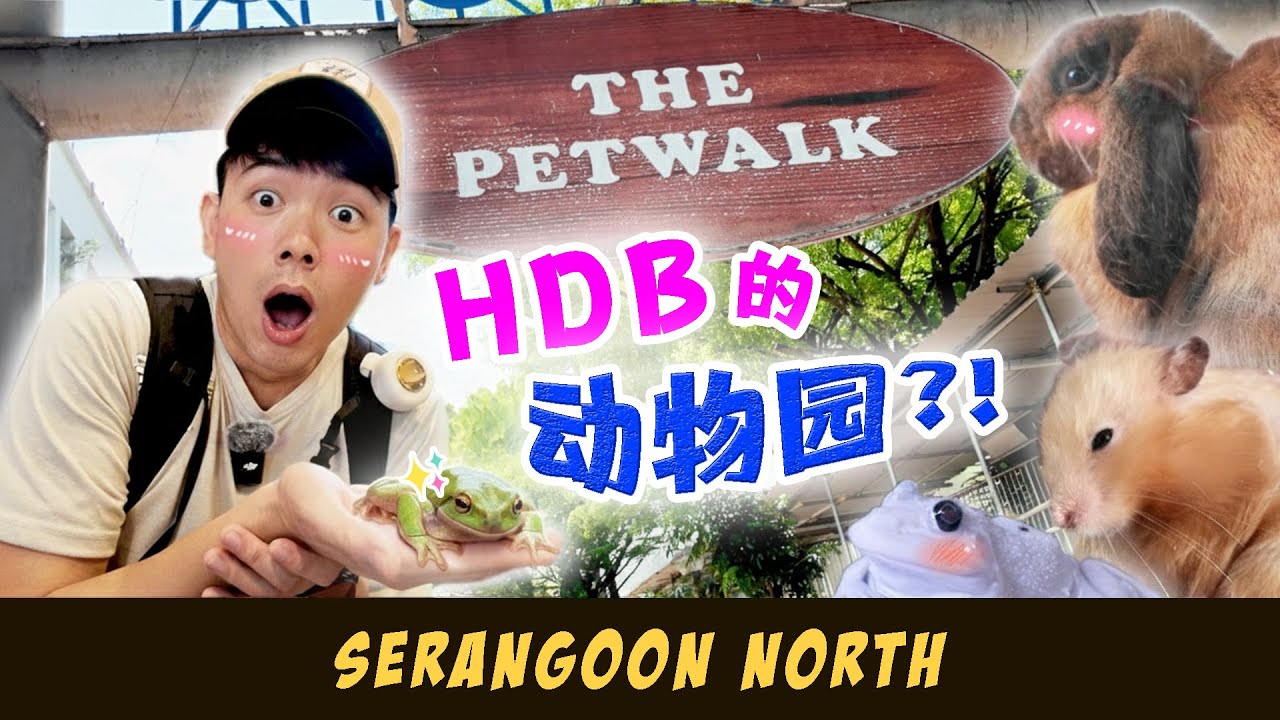 🥰 Friendly Neighbourhood PACKED with ANIMALS 🐸✨ | Explore Serangoon North