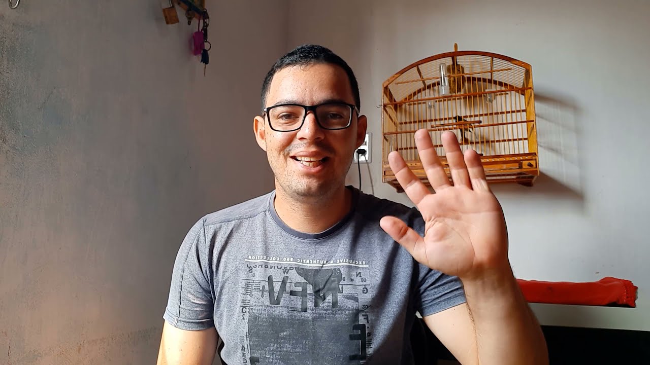 Quanto tempo de Encarte para meu pássaro! Qual o melhor canto?