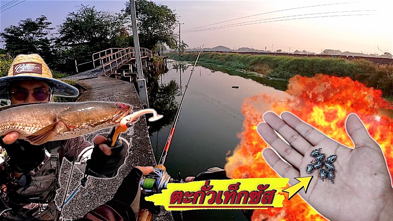 จิ๊กเฮด ตะกั่วเท็กซัส ตกปลาช่อนคลอง #ตกปลา #fishing 