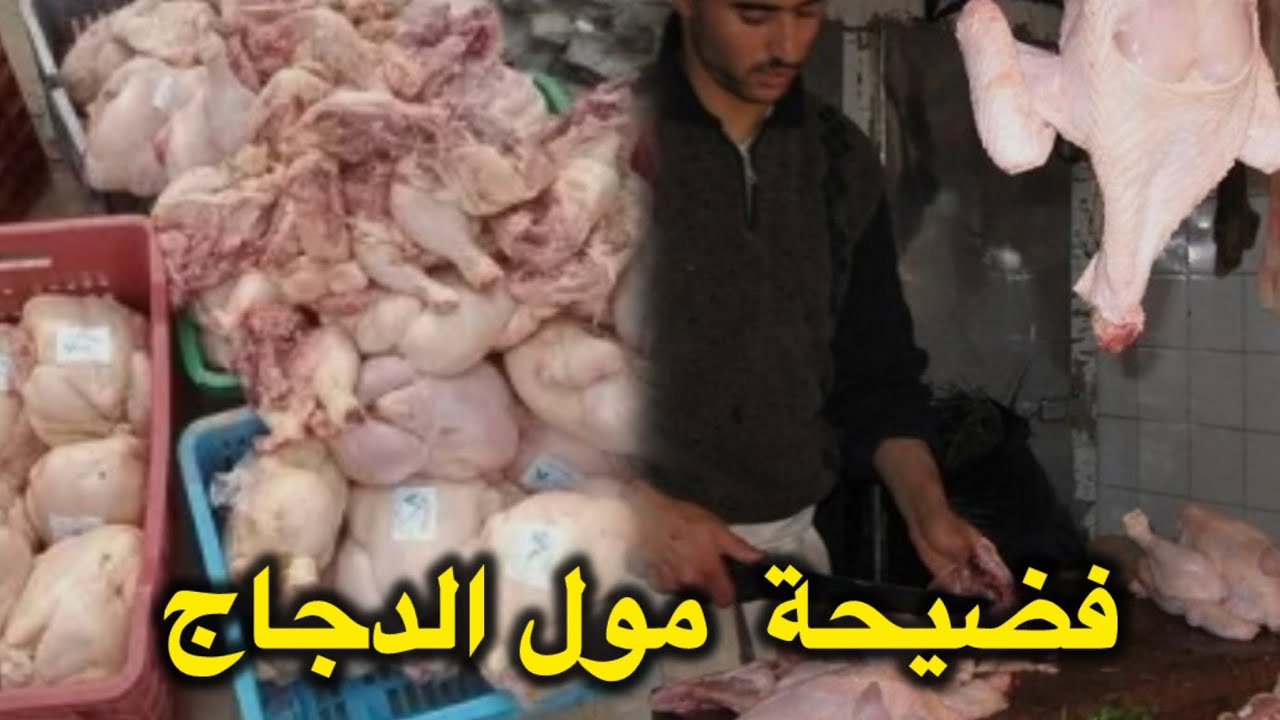 مول الدجاج اشنو حصلو كيدير في المحل 😨ديالو والبوليس تدخل فالحين