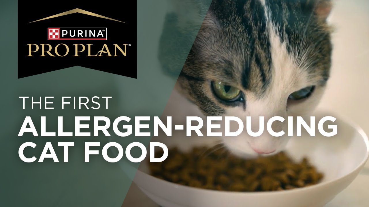 See How Purina Pro Plan LiveClear Allergen Reducing Cat Food Works