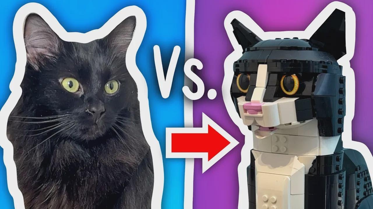 Desafio: Gatos x LEGO! Quem leva a melhor?