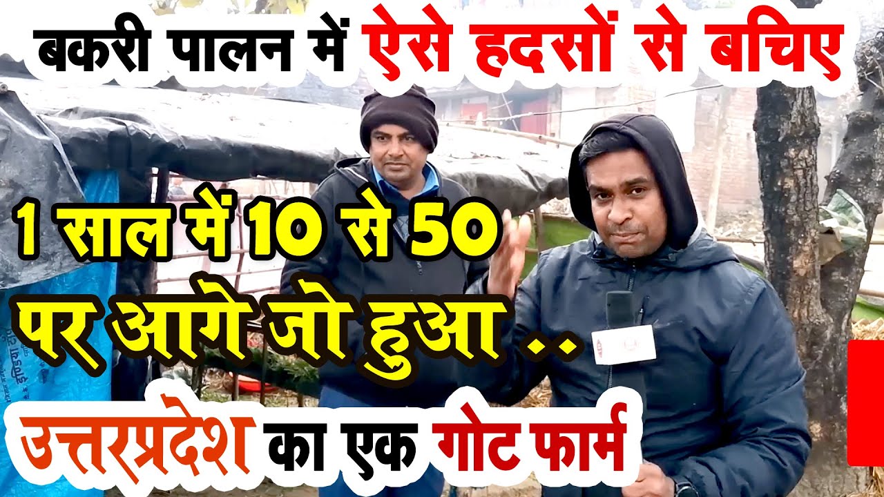 बकरी पालन में सबसे बड़े खतरे से बचिए,सुधीर सर् को इस किसान से मिलने उत्तरप्रदेश जाना पड़ा GOAT FARMING