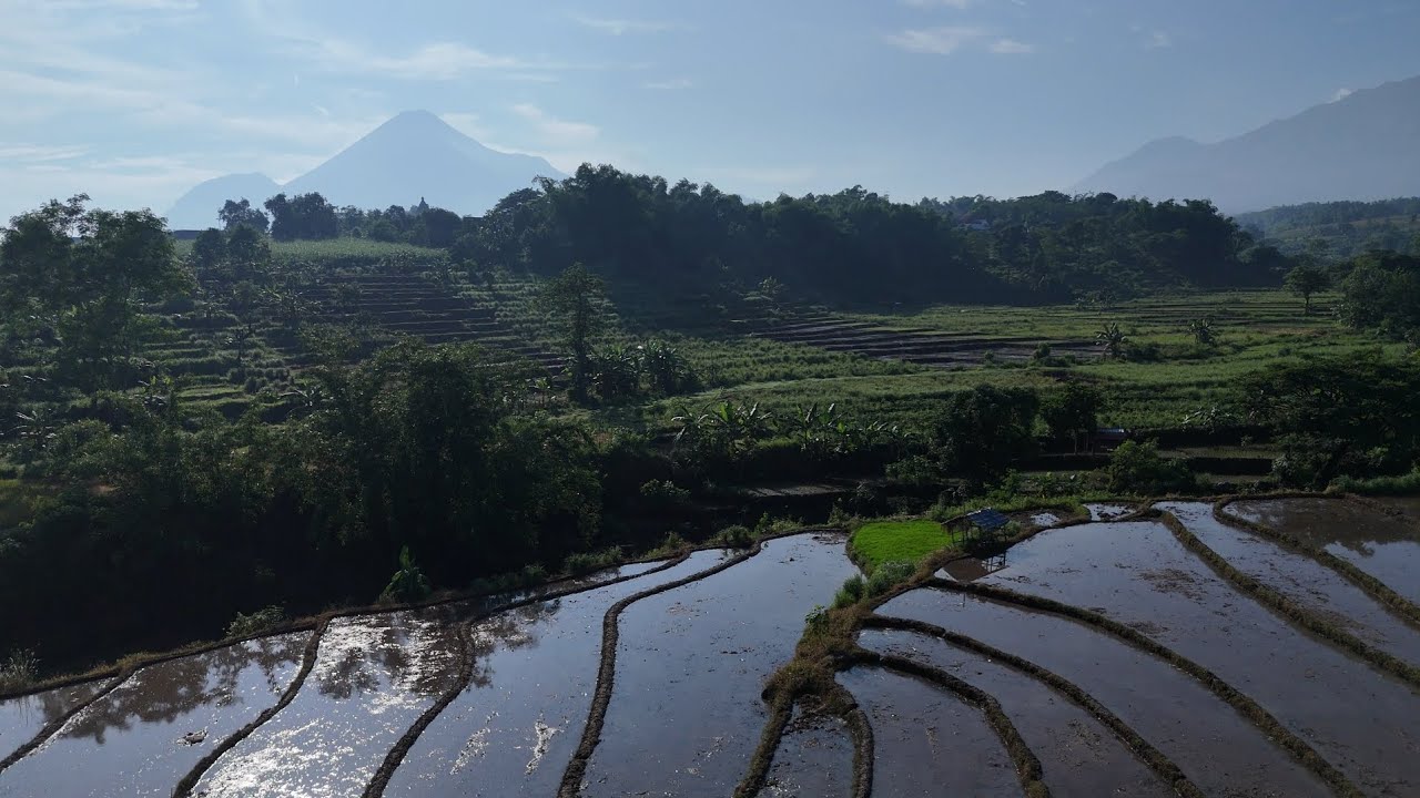 DJI MINI 4 PRO REVIEW PANORAMA DESA JIU MOJOKERTO