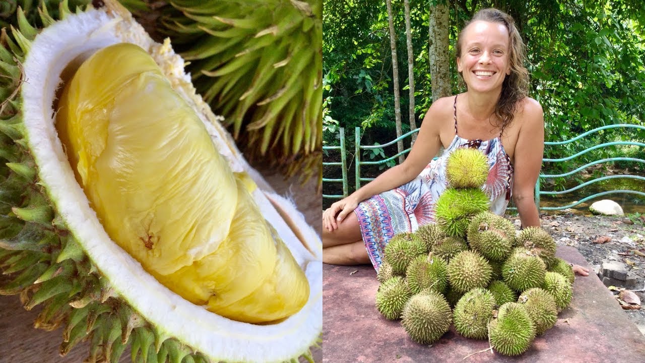 Hunting JUNGLE DURIAN in Malaysia!