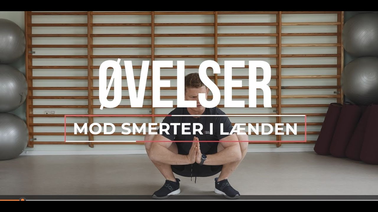 Sådan bliver du mere mobil i ryg og hofter - med eller uden smerter og stivhed i ryggen