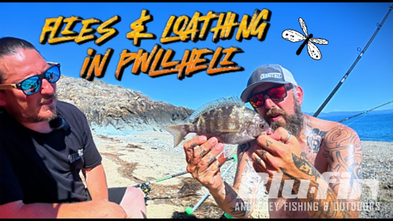 FLIES & LOATHING IN PWLLHELI