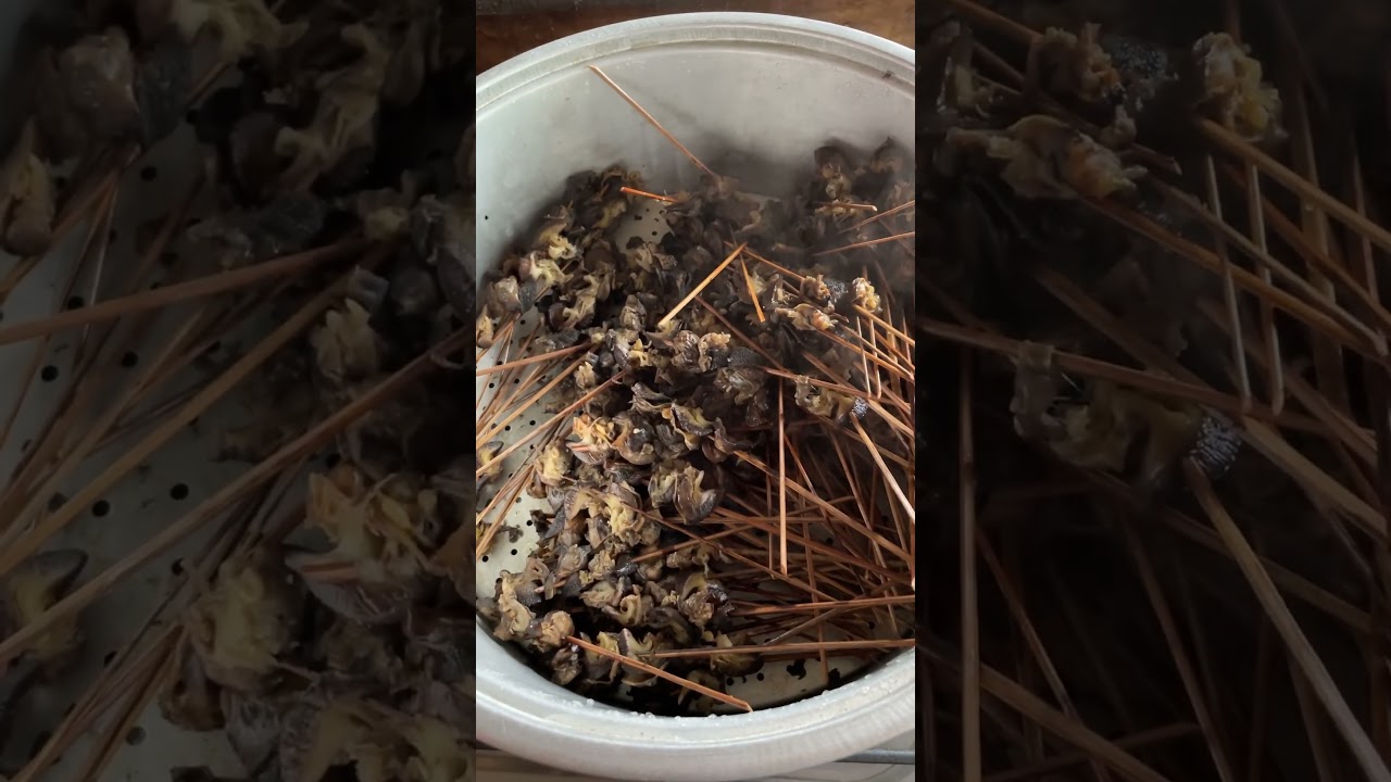 Sate Bekicot 02 #tiktok #kediri #viral #shorts #fyp #kuliner