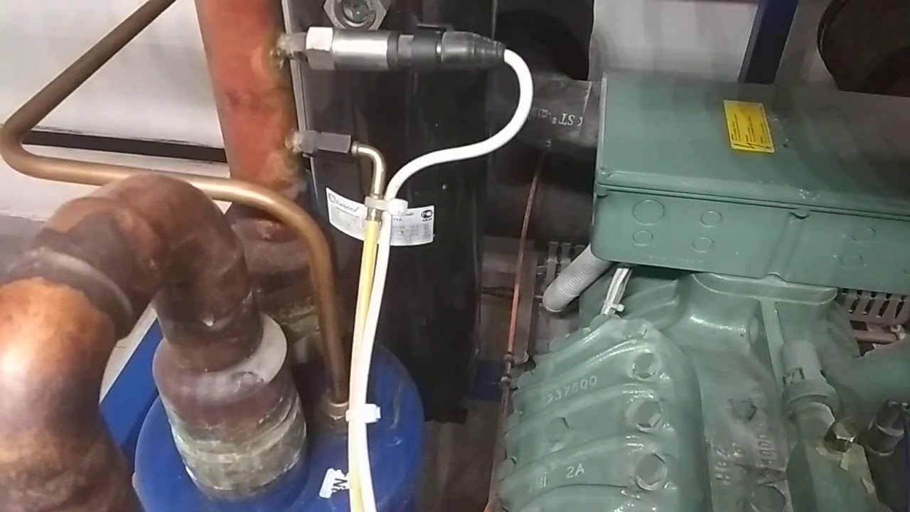 15 августа 2020 г.