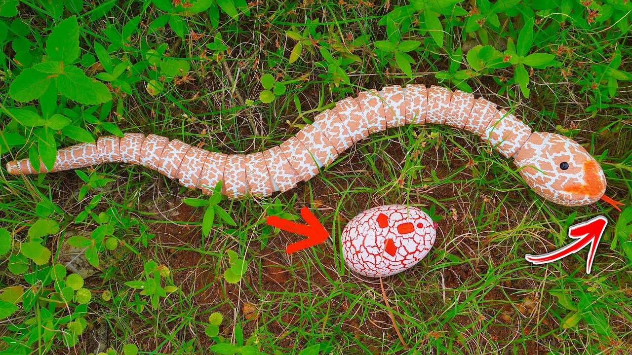 Remote Control Snake Toy, Egg-Shaped Infrared Controller RC Toy Unboxing & Testing- Redkash Tv