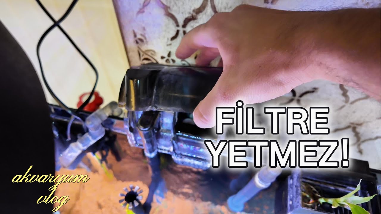 Filtre Var Ama Akvaryum Yine Bozuluyor (Gizli Sorun) ☠️