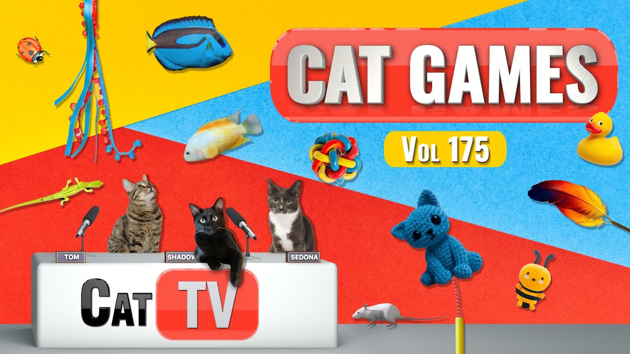 CAT Games | Ultimate Cat TV Compilation, том 175 | 8 ЧАСОВ 🐝🐞🦋🦎🦜🐜🐭🧵