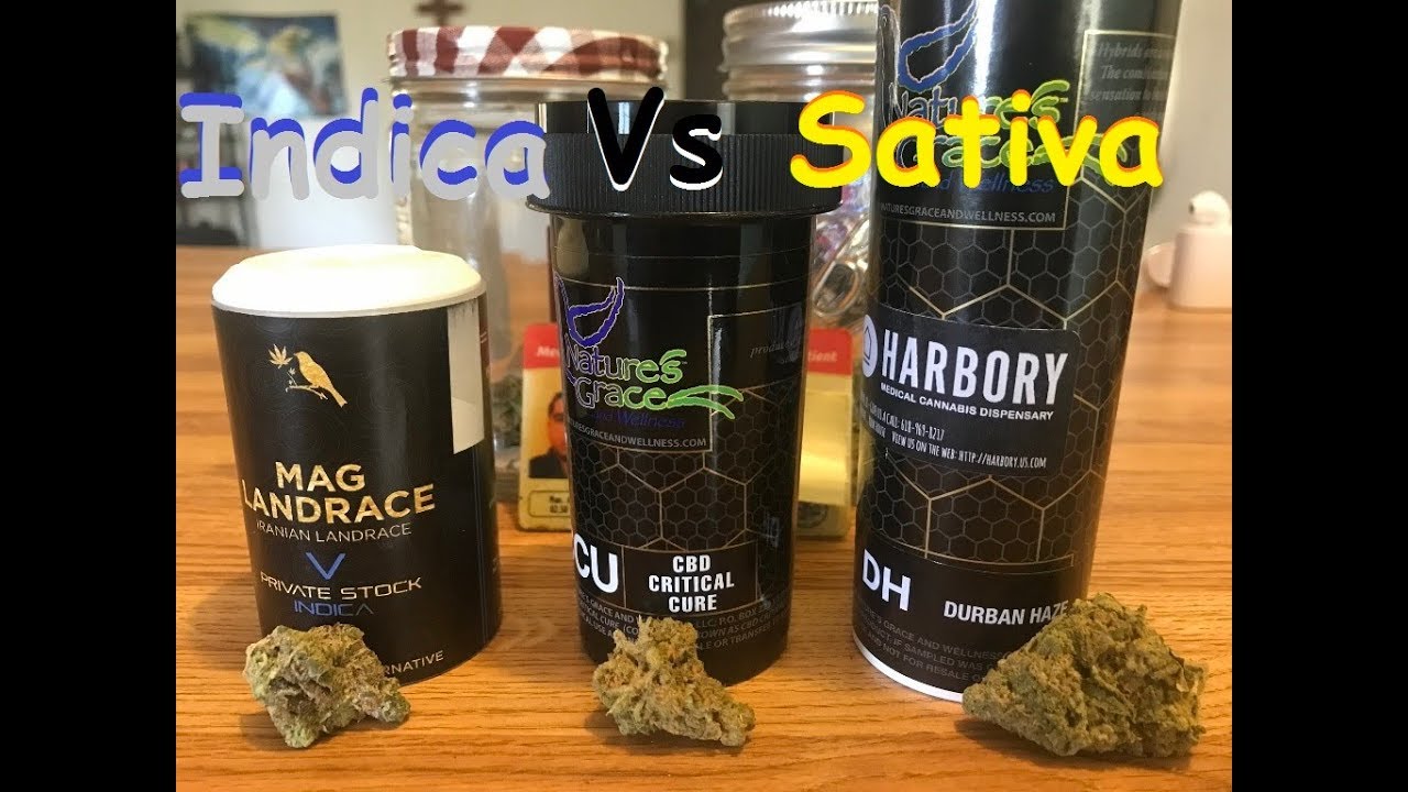 Indica Vs Sativa : Strain Comparison