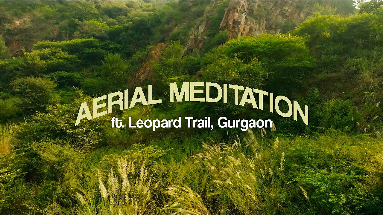Leopard Trail Gurgaon | 4K Drone Video with Relaxing Music |  Aerial Meditation