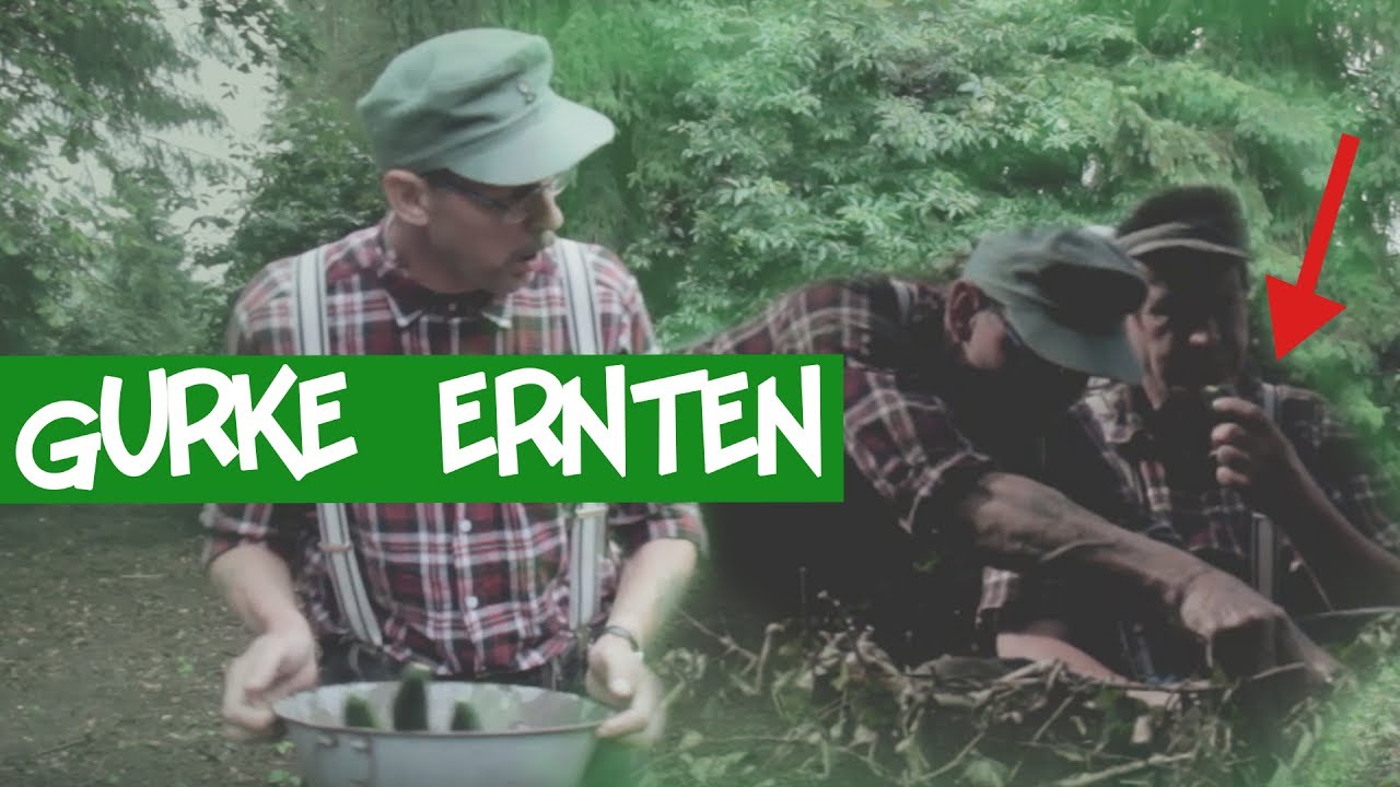 Die seltsamste Gurkengeschichte aller Zeiten 🥒😆 Gurken ernten - Wie ernte ich eine Gurke🥒🥒