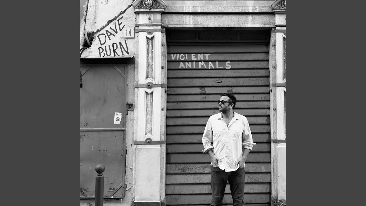 Violent Animals