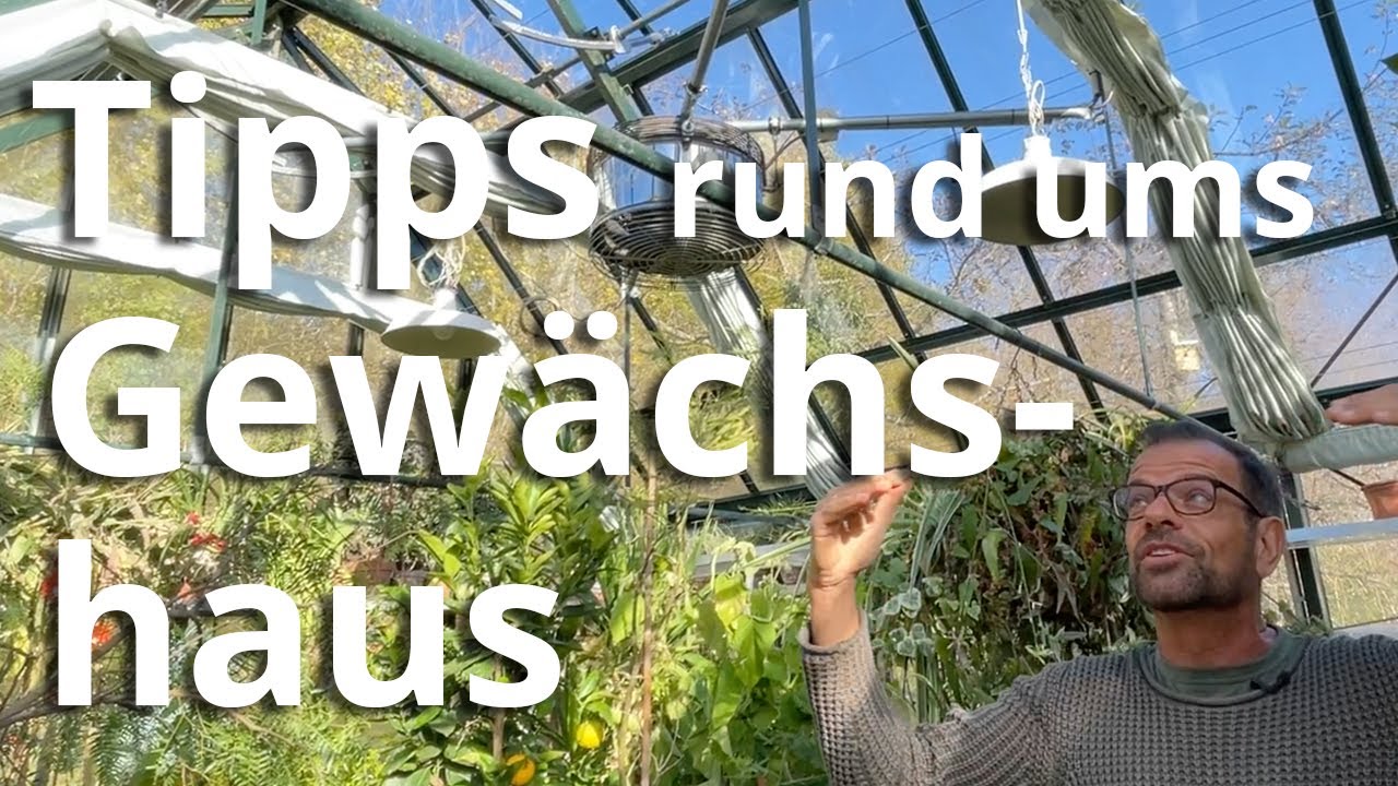 Tipps rund um die verschiedenen Gew&auml;chsh&auml;user - so bekommst du ein gr&uuml;nes Paradies unter Glas