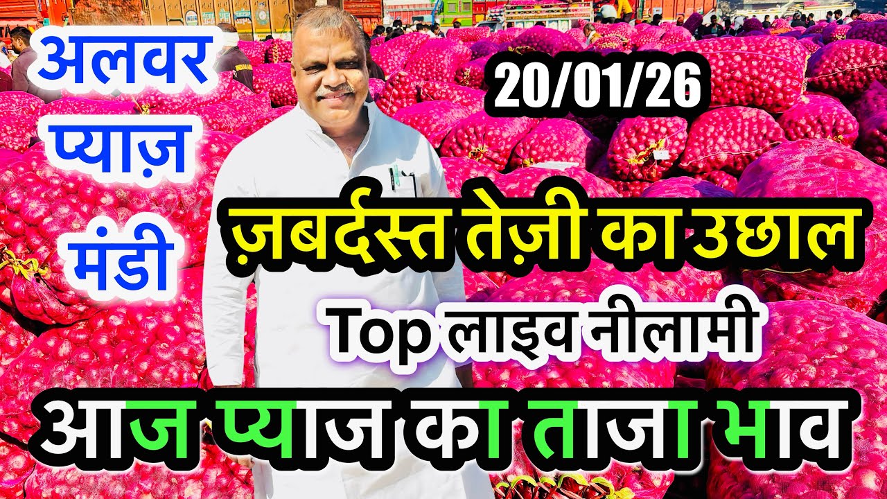 अलवर प्याज़ मंडी भाव आज का, Alwar Pyaj Mandi Bhav Today Onion Aaj Ka Rate Live Pappu Pradhan #onion 
