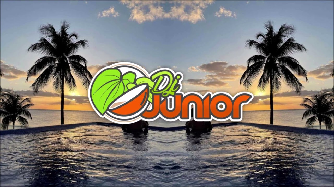 DJ Junior - Solegi Au Voli (Remix)