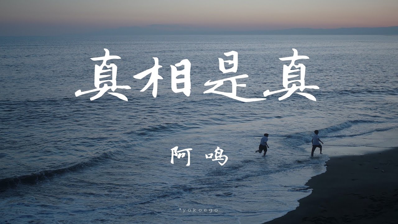 阿鳴-真相是真「可我只看向他眼底 而千萬人歡呼什麽」【動態歌詞/Lyrics/無損音質】♪