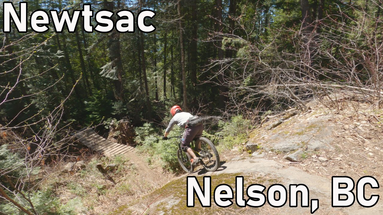 A Nelson 