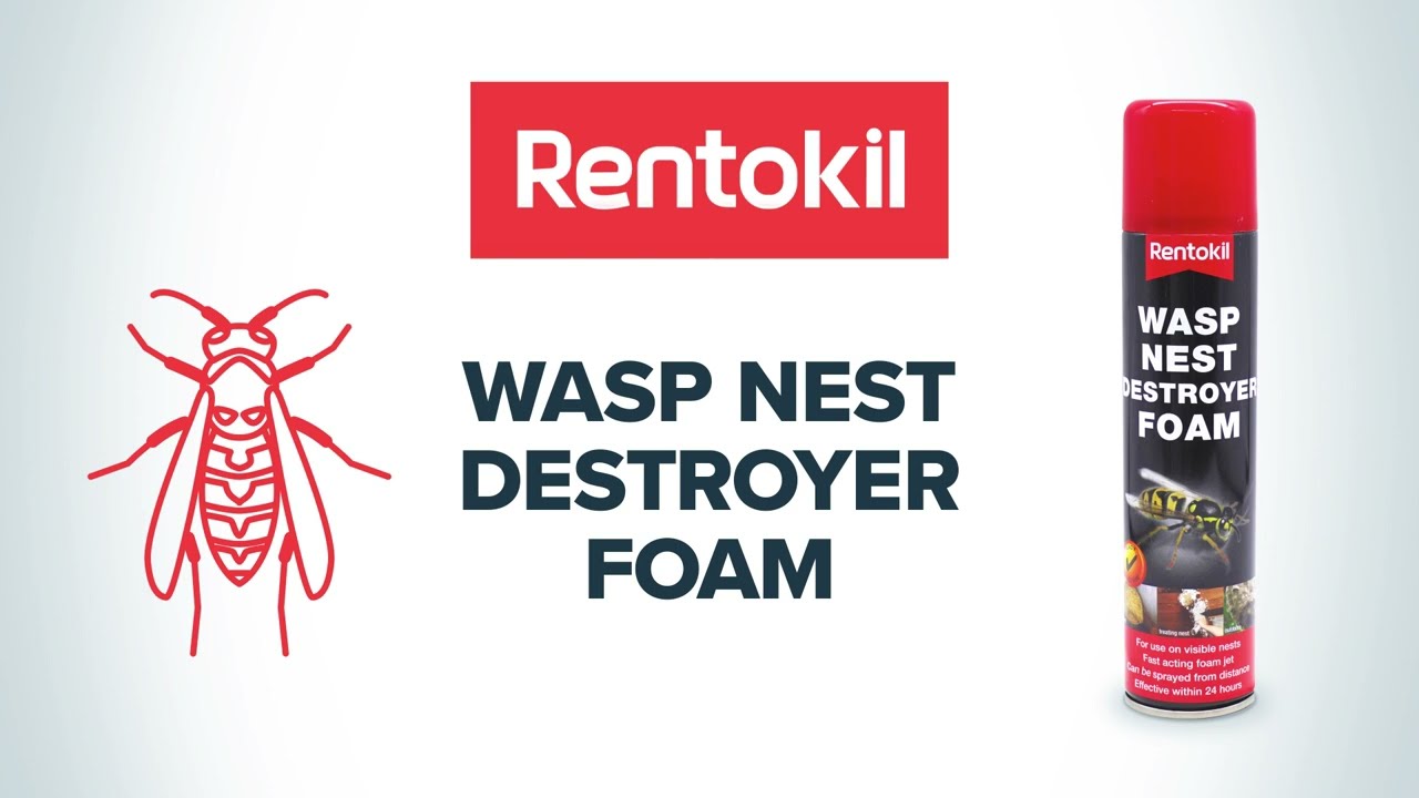 Rentokil DIY Wasp Nest Destroyer Foam