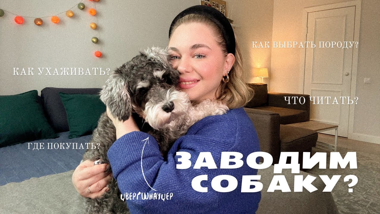 3 ГОДА С ЦВЕРГШНАУЦЕРОМ. НАШ ОПЫТ И СОВЕТЫ