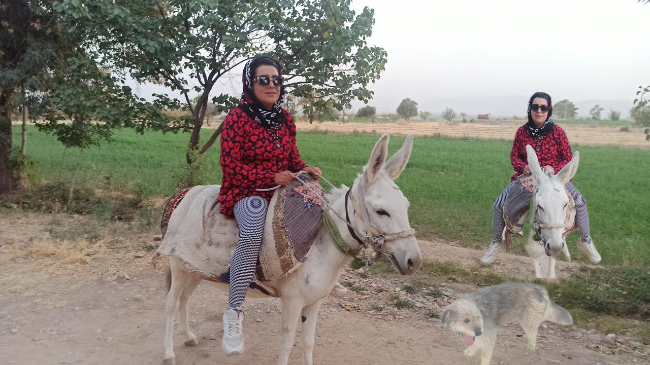 Village life of Iran; amazing donkey riding 
